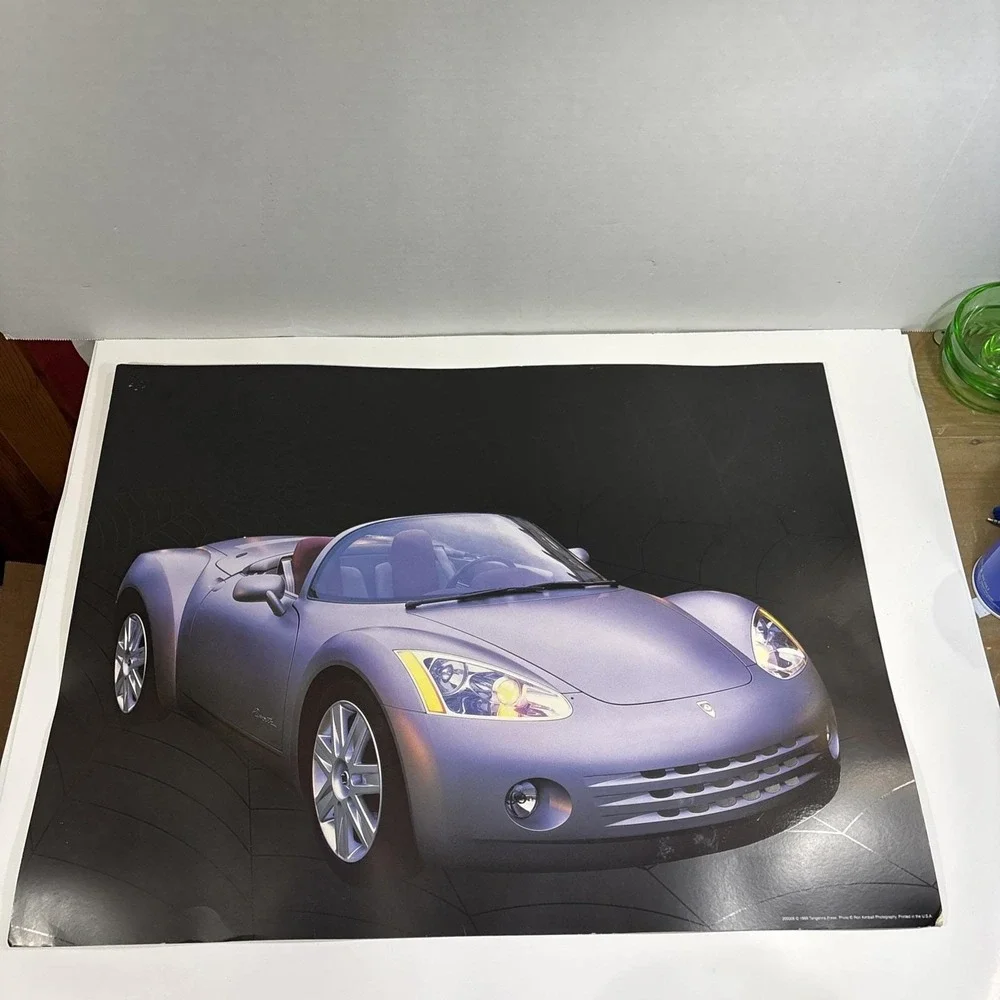 1999 Ron Kimball Spyder Photo Print Poster with Web Background. Rare 24x18